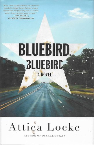 Bluebird Bluebird